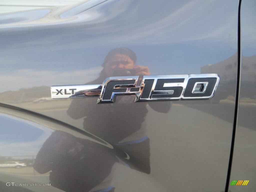 2014 F150 XLT SuperCrew 4x4 - Sterling Grey / Steel Grey photo #13