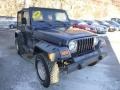 2000 Patriot Blue Pearl Jeep Wrangler Sport 4x4  photo #6