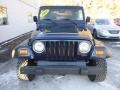 2000 Patriot Blue Pearl Jeep Wrangler Sport 4x4  photo #7