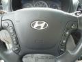 2007 Ebony Black Hyundai Santa Fe Limited  photo #23