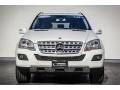 Black - ML 350 4Matic Photo No. 2