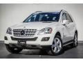 Black - ML 350 4Matic Photo No. 13