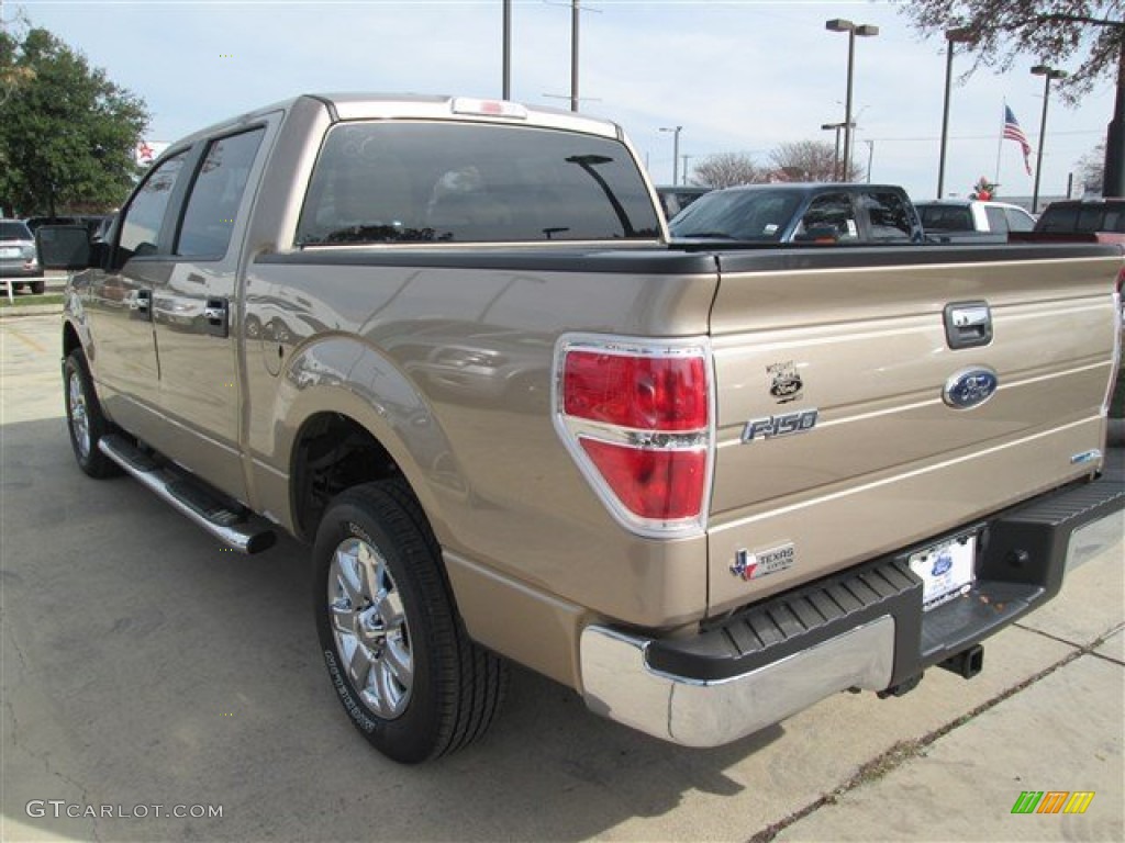 2013 F150 XLT SuperCrew - Pale Adobe Metallic / Adobe photo #3