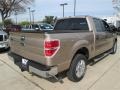 2013 Pale Adobe Metallic Ford F150 XLT SuperCrew  photo #5