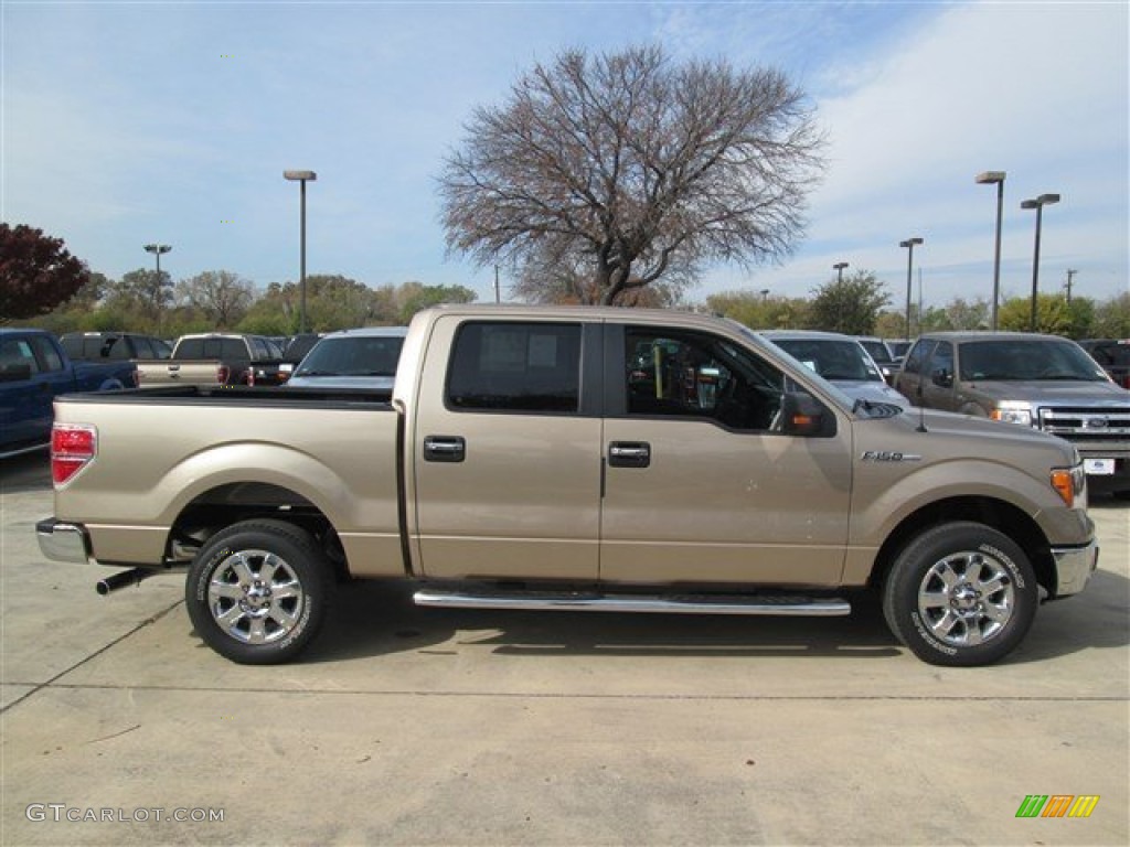 2013 F150 XLT SuperCrew - Pale Adobe Metallic / Adobe photo #6