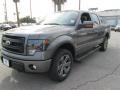 Sterling Gray Metallic - F150 FX4 SuperCrew 4x4 Photo No. 1