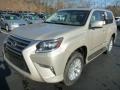 Front 3/4 View of 2014 GX 460