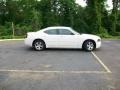 Stone White - Charger Police Package Photo No. 2