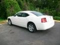 Stone White - Charger Police Package Photo No. 5