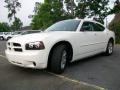 Stone White - Charger Police Package Photo No. 7
