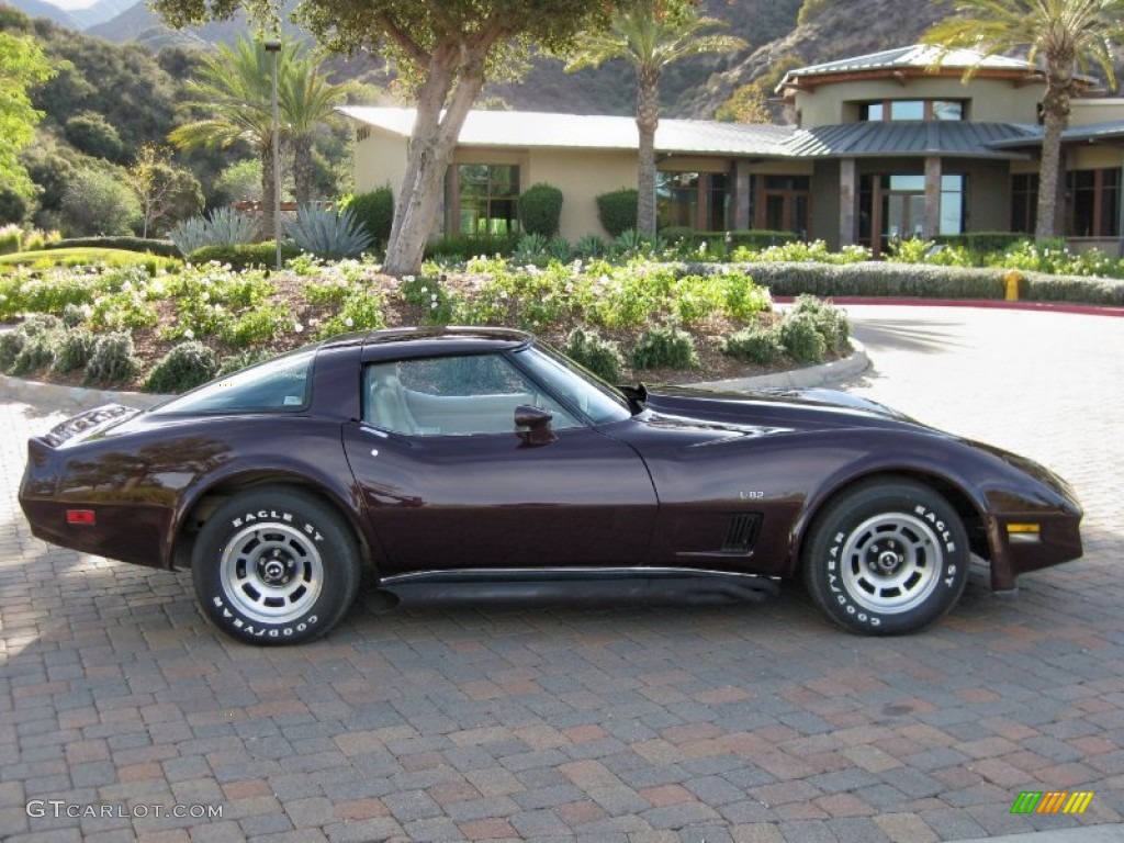 1980 Corvette Coupe - Dark Claret / Oyster photo #6