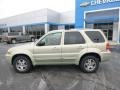 2005 Gold Ash Metallic Ford Escape Limited 4WD  photo #2