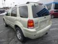 2005 Gold Ash Metallic Ford Escape Limited 4WD  photo #3