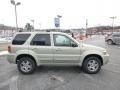 Gold Ash Metallic - Escape Limited 4WD Photo No. 6