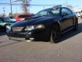 Black 2002 Ford Mustang Gallery