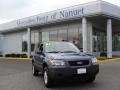 2006 Norsea Blue Metallic Ford Escape XLS 4WD  photo #1