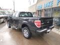 2014 Tuxedo Black Ford F150 STX SuperCab 4x4  photo #6