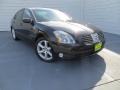 Onyx Black - Maxima 3.5 SE Photo No. 2