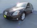 Onyx Black - Maxima 3.5 SE Photo No. 7