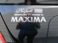Onyx Black - Maxima 3.5 SE Photo No. 21