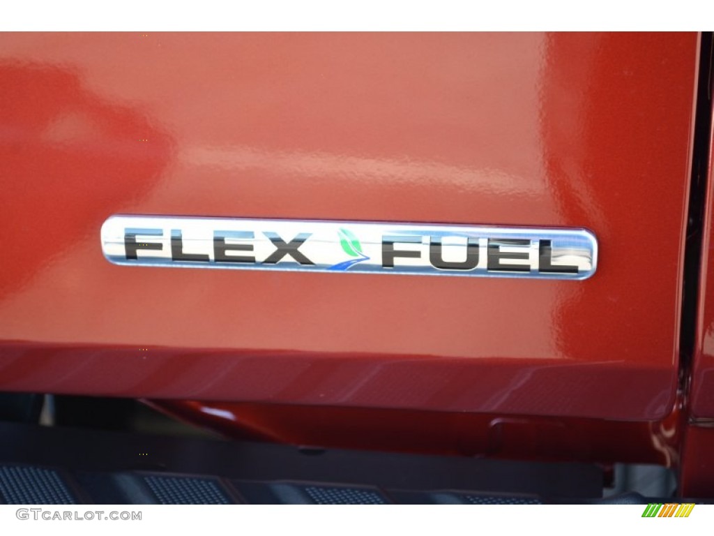 2014 F150 XLT SuperCrew - Sunset / Steel Grey photo #10
