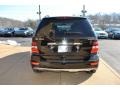 2009 Obsidian Black Metallic Mercedes-Benz ML 350 4Matic  photo #3