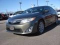 Cypress Green Pearl - Camry XLE Photo No. 1