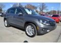 Pepper Gray Metallic - Tiguan SE Photo No. 7