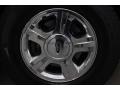 Cashmere Tri-Coat Metallic - Expedition Limited Photo No. 9