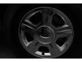 Cashmere Tri-Coat Metallic - Expedition Limited Photo No. 11