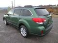 2014 Cypress Green Pearl Subaru Outback 2.5i Limited  photo #5