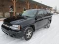 Black - TrailBlazer LS 4x4 Photo No. 2