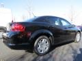Black Clear Coat - Avenger SE Photo No. 3