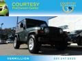 2004 Electric Lime Green Pearl Jeep Wrangler SE 4x4  photo #1