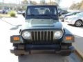 2004 Electric Lime Green Pearl Jeep Wrangler SE 4x4  photo #2