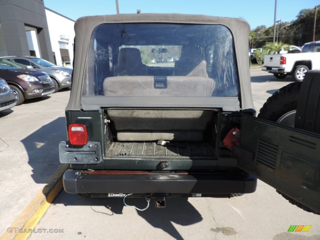 2004 Wrangler SE 4x4 - Electric Lime Green Pearl / Khaki photo #4