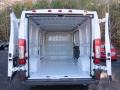  2014 ProMaster 1500 Cargo Low Roof Trunk