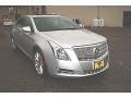 Radiant Silver Metallic - XTS Platinum FWD Photo No. 13