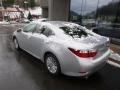 Silver Lining Metallic - ES 350 Photo No. 7