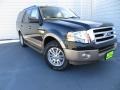 Tuxedo Black - Expedition XLT Photo No. 2