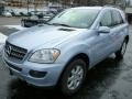 Alpine Rain Metallic - ML 350 4Matic Photo No. 2
