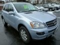 Alpine Rain Metallic - ML 350 4Matic Photo No. 3