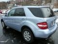 Alpine Rain Metallic - ML 350 4Matic Photo No. 9