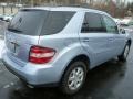 Alpine Rain Metallic - ML 350 4Matic Photo No. 11
