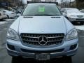 Alpine Rain Metallic - ML 350 4Matic Photo No. 18