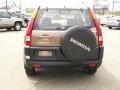 Mojave Mist Metallic - CR-V LX 4WD Photo No. 4
