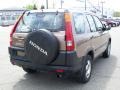 2002 Mojave Mist Metallic Honda CR-V LX 4WD  photo #6