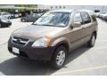 2004 Mojave Mist Metallic Honda CR-V EX 4WD  photo #3