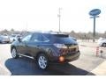 2010 Obsidian Black Lexus RX 350  photo #3