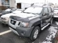 Night Armor Metallic - Xterra S 4x4 Photo No. 3